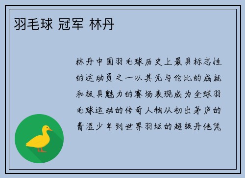 羽毛球 冠军 林丹