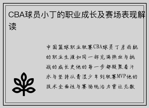 CBA球员小丁的职业成长及赛场表现解读