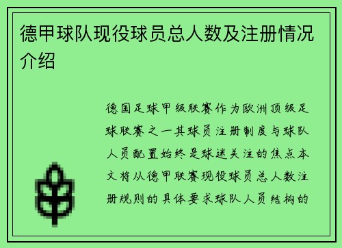 德甲球队现役球员总人数及注册情况介绍
