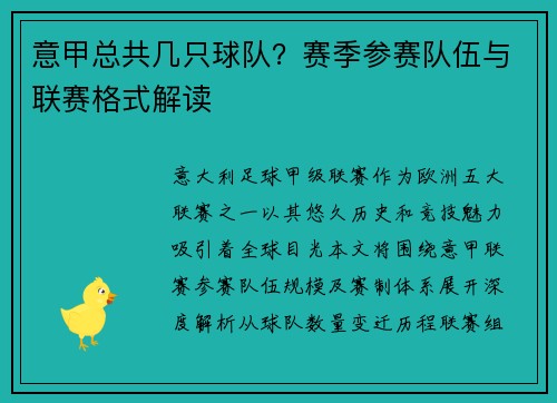 意甲总共几只球队？赛季参赛队伍与联赛格式解读